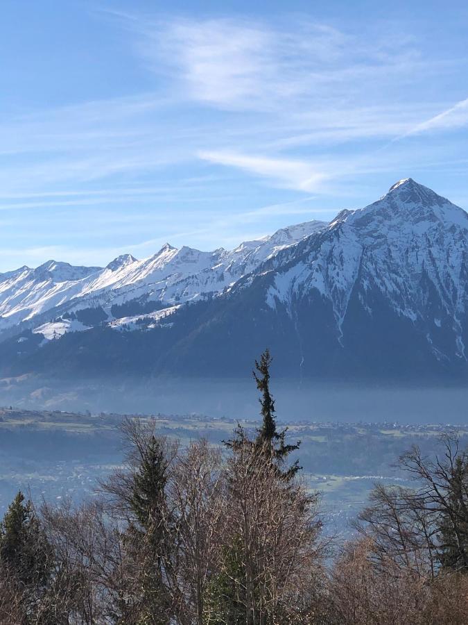 Wohnung Mit See Und Bergsicht Im Vier Sterne Hotel Beatenberg Zewnętrze zdjęcie