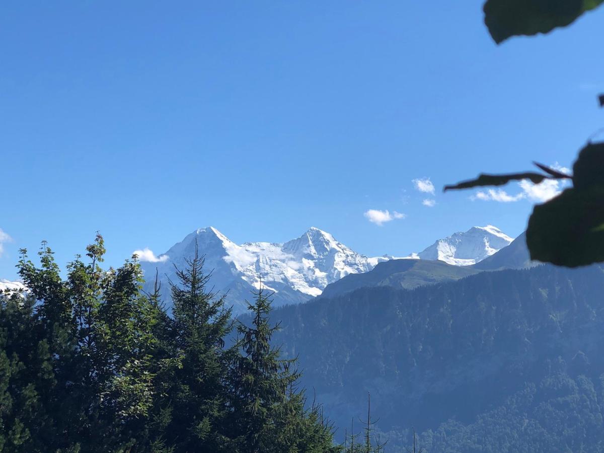 Wohnung Mit See Und Bergsicht Im Vier Sterne Hotel Beatenberg Zewnętrze zdjęcie