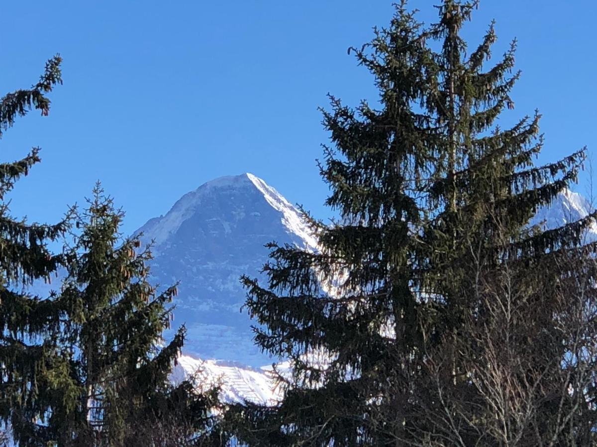 Wohnung Mit See Und Bergsicht Im Vier Sterne Hotel Beatenberg Zewnętrze zdjęcie
